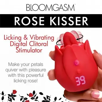 Red rose-shaped vibrating clitoral stimulator.