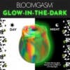 Glow-in-the-dark rose-shaped toy for dogs.