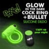 Glow-in-the-dark silicone cock ring and bullet.