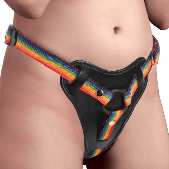 Rainbow strap-on harness with metal ring.